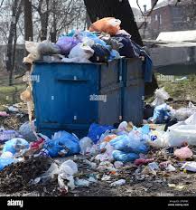 Best Dumpster Rental Services  in Big Bear City, CA