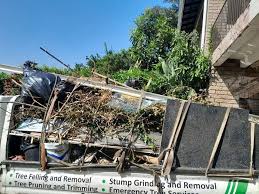 Best Residential Junk Removal  in Big Bear City, CA